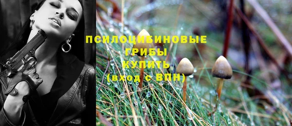 ГАЛЛЮЦИНОГЕННЫЕ ГРИБЫ Абдулино
