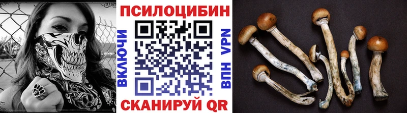 купить  сайты  Карабаново  Псилоцибиновые грибы прущие грибы 